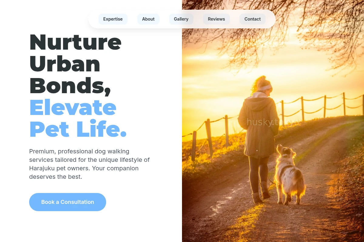 dog-walking