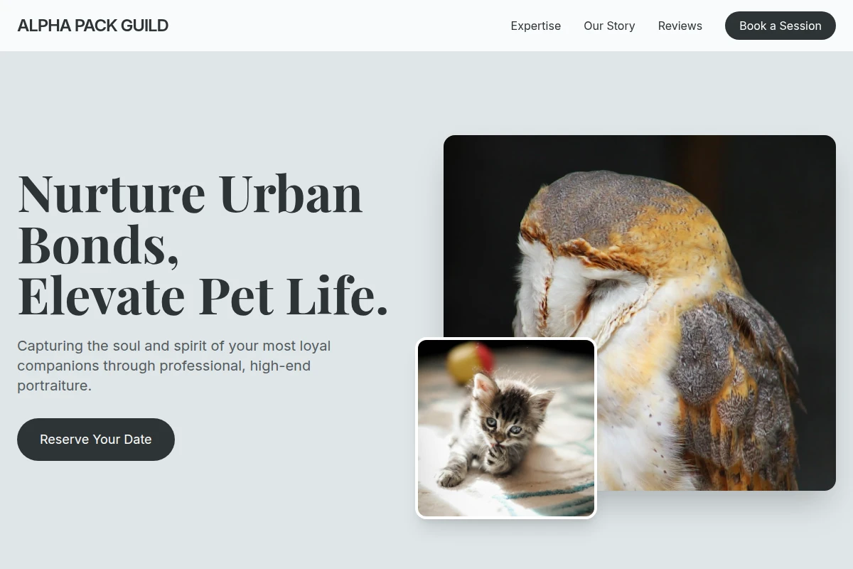pet-photography